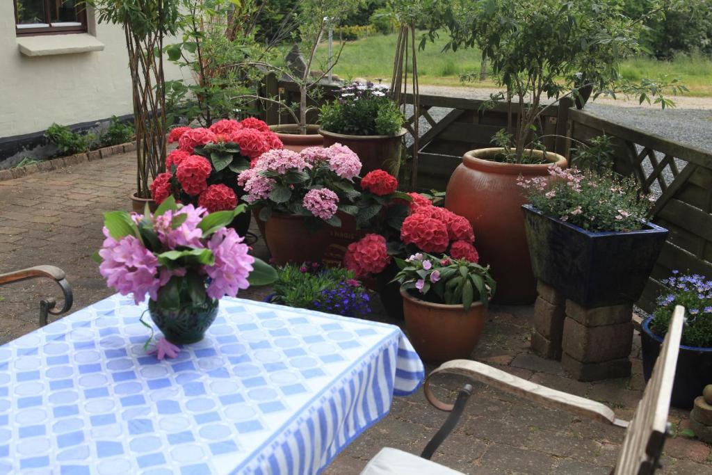 Bed & Breakfast Horsens Bagian luar foto